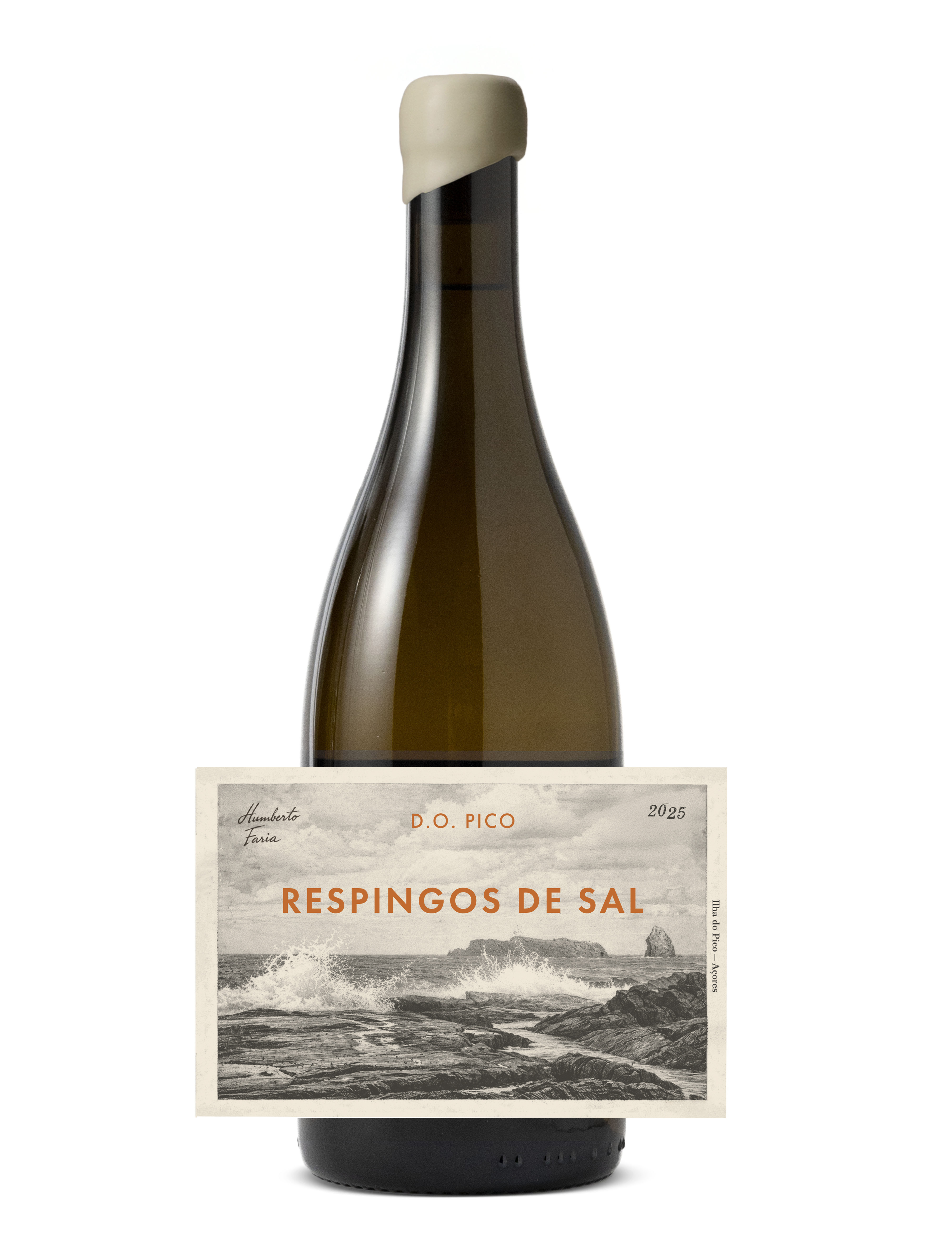 Respingos De Sal