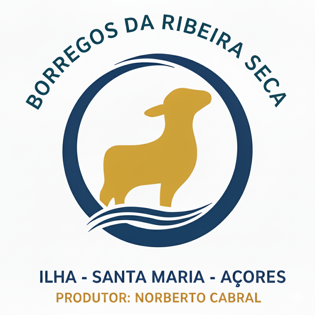 NORBERTO SOUSA CABRAL