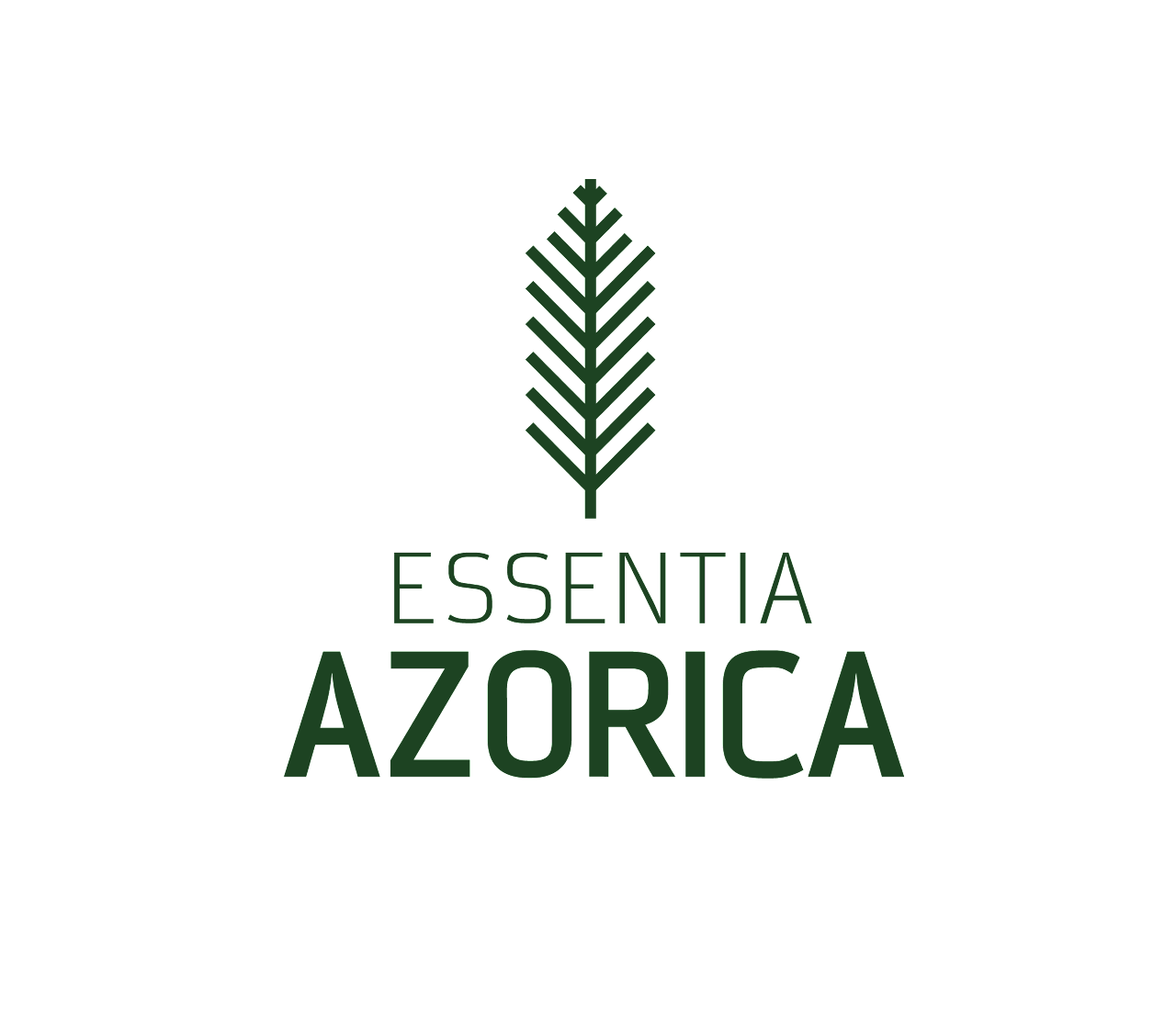 MARQUES INOVAÇÃO & AMBIENTE, LDA
